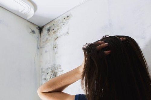 Ai phải chịu chi phí sửa chữa khi căn hộ chung cư bị thấm, dột?