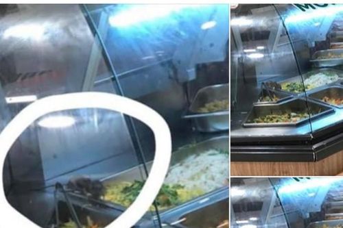 Aeon Việt Nam thừa nhận có chuột bò trên khay thức ăn