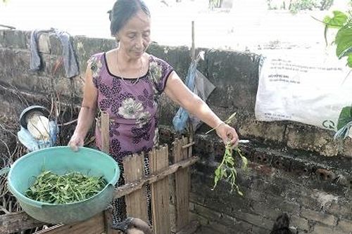 Những hoạt động nghĩa tình, trách nhiệm