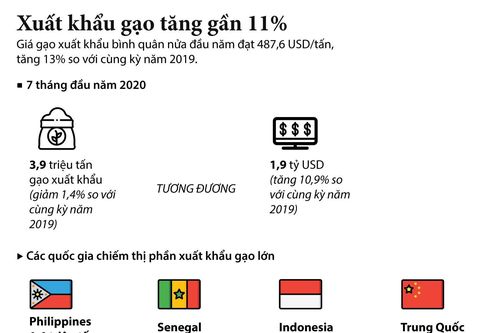 Xuất khẩu gạo trong 7 tháng đầu năm tăng gần 11%