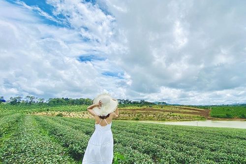 Tìm 'ngôi nhà thứ 2' tại thiên đường lý tưởng Di Linh