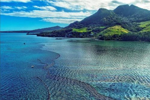 Dầu tràn từ tàu Nhật Bản đang giết sinh vật biển quanh Mauritius