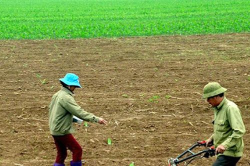 Hộ gia đình, cá nhân bị ảnh hưởng Covid-19 được giảm tiền thuê đất