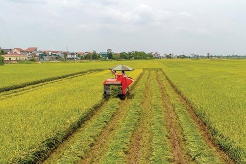 Huyện Vĩnh Tường: Thành công với chủ trương 'Dồn thửa đổi ruộng'