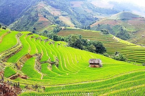 Những nhân tố ảnh hưởng đến phát triển du lịch bền vững