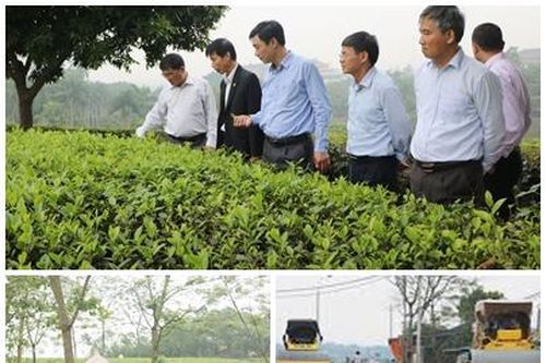 Thị xã Phú Thọ hoàn thành nhiệm vụ xây dựng nông thôn mới