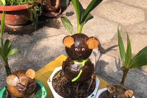 Ngắm bonsai dừa tạo hình con vật độc đáo lạ mắt