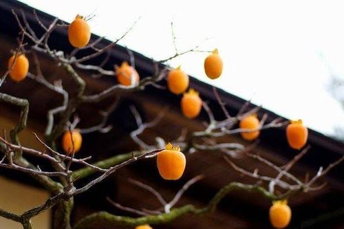 Cách làm hồng treo gió ngọt ngào cho mùa thu sang