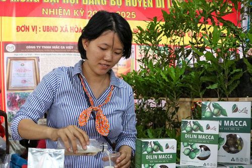 Hương vị lạ từ cây trồng quê nhà