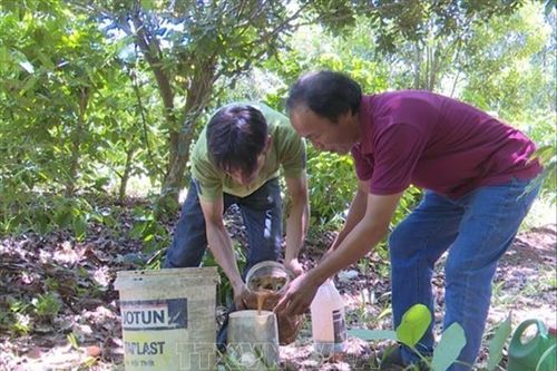 Người đảng viên tiên phong sản xuất nông sản sạch ở miền núi