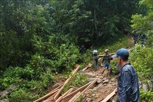 Vận chuyển toàn bộ số gỗ do 'lâm tặc' để lại ra khỏi rừng phòng hộ ở Quảng Ngãi