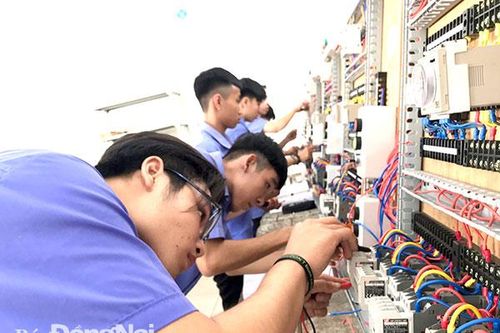 Đồng Nai có 6 trường đạt kiểm định chất lượng giáo dục nghề nghiệp cấp độ 3