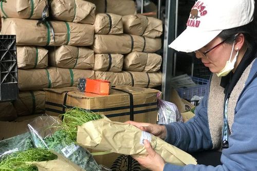 Liên kết vì nông sản phố núi