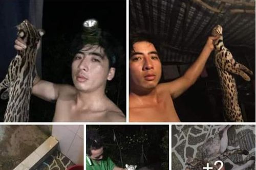 Giết động vật quý hiếm rồi khoe trên facebook và cái kết