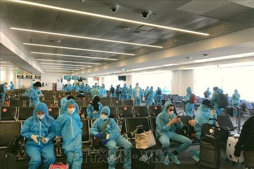 Lực lượng tiên phong trong công cuộc đổi mới, phát triển và hội nhập quốc tế