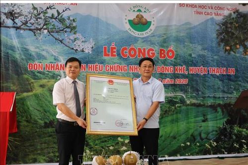 Cao Bằng đón nhận nhãn hiệu chứng nhận lê Đông Khê