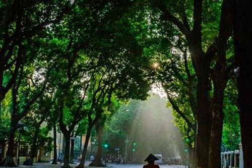 Quê hương đẹp qua từng khung hình đẹp