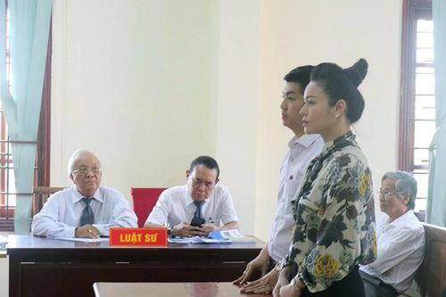 Vụ kiện Nhật Kim Anh giành quyền nuôi con: Hủy án sơ thẩm!