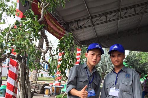 Hai học sinh nghèo có 'bàn tay vàng'