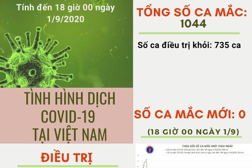 Việt Nam chữa khỏi 735 ca mắc Covid-19