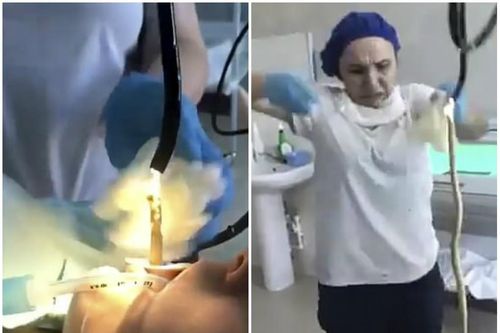 Ngủ ngoài sân, bị rắn dài 1,2m chui sâu vào họng