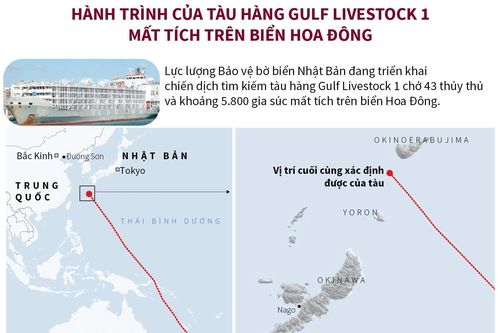Hành trình của tàu hàng Gulf Livestock 1 mất tích