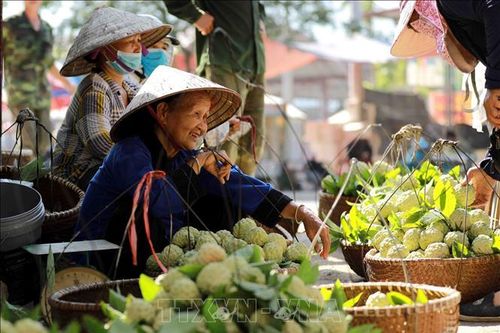 Tìm đầu ra cho đặc sản na 'Chi Lăng'