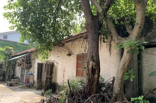 Phục hồi, tôn tạo di tích Văn Miếu Vinh, gần 20 năm vẫn nằm trên giấy (Bài 1): Di tích hay phế tích