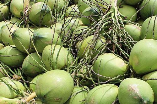 Giá trái cây rẻ 'giật mình': dừa xiêm 60.000 đồng/chục, nhãn lồng 7.000-8.000 đồng/kg