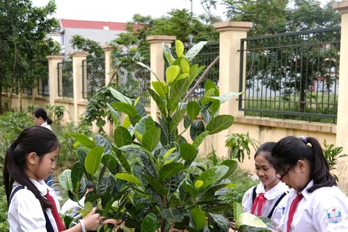 Quỹ 1 triệu cây xanh lan tỏa tình yêu thiên nhiên đến với học sinh