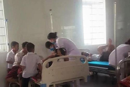 Quảng Trị: Cấp cứu 26 học sinh một trường tiểu học vì bị ong đốt