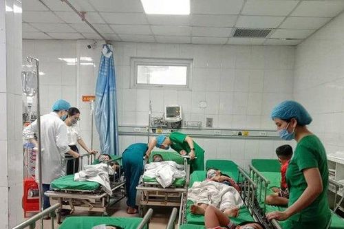 16 em học sinh nhập viện vì bị ong đốt trong giờ ra chơi