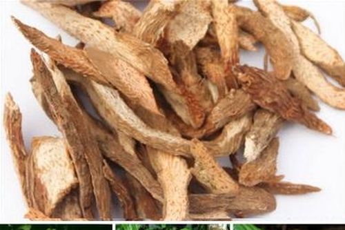 Bài thuốc hỗ trợ trị loãng xương