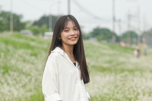 Cỏ tranh phủ trắng triền đê tại Hà Nội