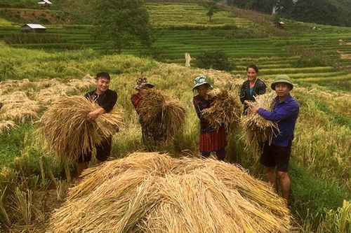 Trưởng công an xã năng động, gần dân