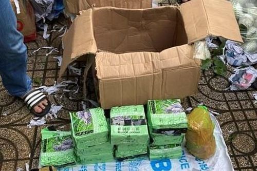 Gần 50kg ma túy ngụy trang trong thùng trái cây từ Campuchia về Sài Gòn