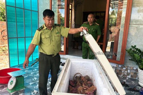 Bắt thêm vụ tàng trữ động vật hoang dã trái phép