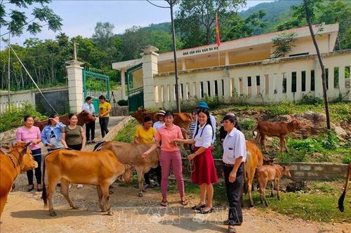 Sức sống mới nơi vùng cao biên giới xứ Thanh