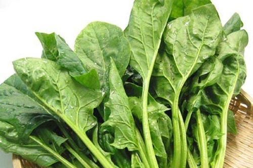 5 loại rau chứa độc tố cần chần trước khi nấu