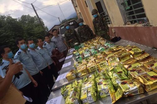 Thu giữ 11 pho tượng gỗ chứa hơn 237kg ma túy