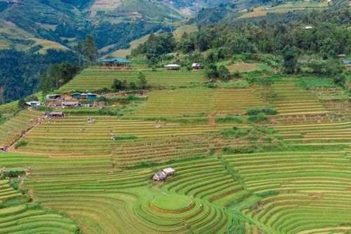 Du khách đổ xô đi chụp ảnh tại đồi mâm xôi La Pán Tẩn - Mù Cang Chải