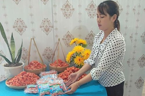 Cùng phụ nữ khởi nghiệp, vươn lên làm giàu