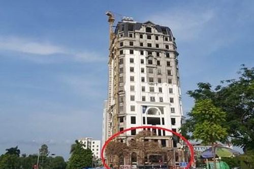Lấy mẫu giám định hàng cây xanh nghi bị 'đầu độc' ở Hải Phòng