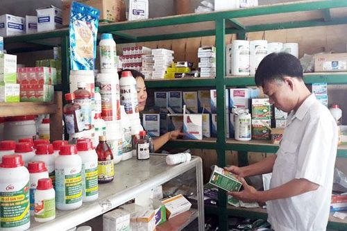Tăng cường quản lý kinh doanh thuốc thú y, thức ăn chăn nuôi