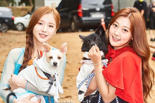 Xuất hiện dàn 'boss cưng' sang chảnh của hội idol khi tham gia Đại hội thể thao K-Pop 2020