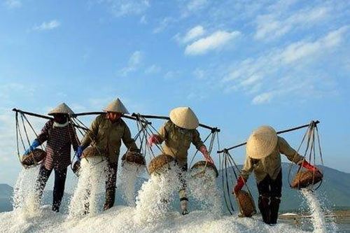 Nữ nông dân 'Biến nước biển thành vàng'