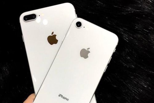 Lẻn vào bệnh viện trộm điện thoại của bệnh nhân