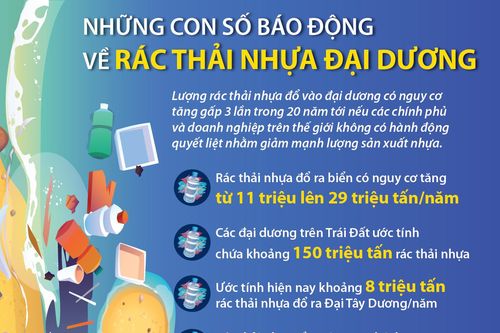 Những con số báo động về rác thải nhựa đại dương