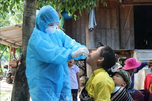 Cách đơn giản mà hiệu quả để tiêu diệt mầm bệnh bạch hầu