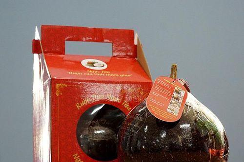 Khởi nghiệp của tuổi trẻ tại Trà Vinh bắt đầu 'Trạng thái bình thường mới'